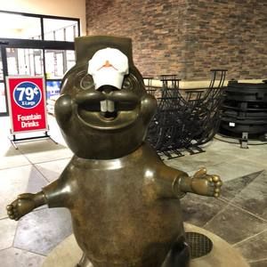 Meet your Posher, Brandon